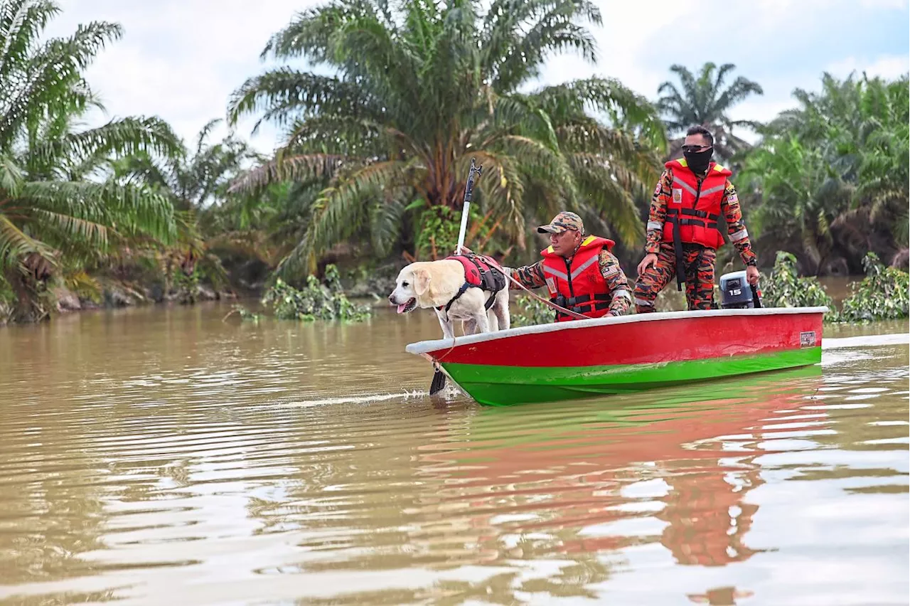 Rescuers Search for Flood Victims in East Coast Malaysia Driven by Monsoon Surge