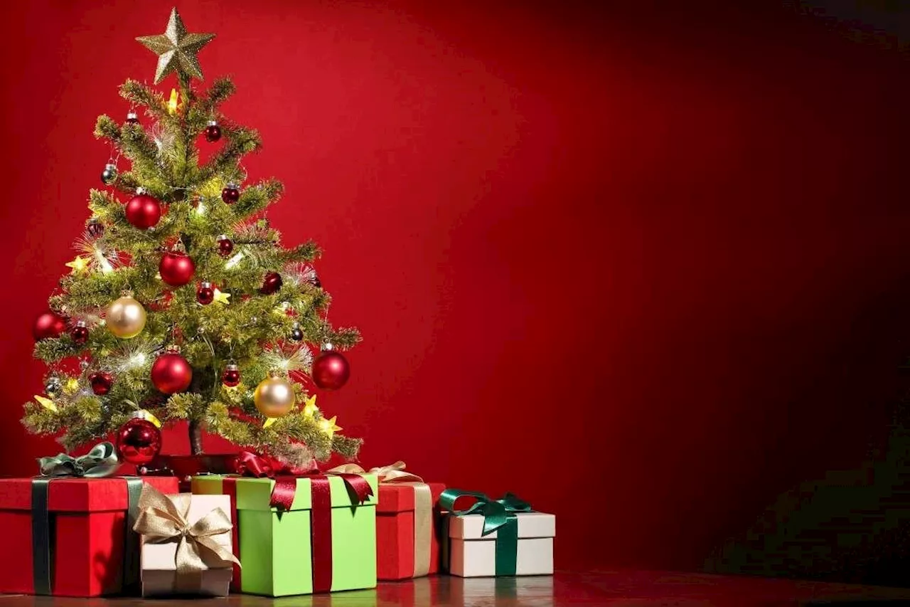 Sapin de Noël : naturel, artificiel, coupé, en pot, floqué… comment le choisir ?