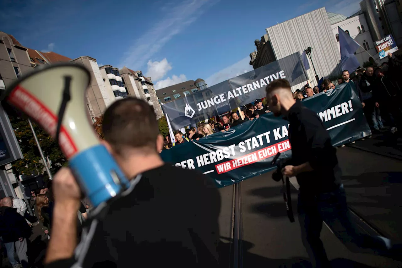 Die AfD will ihre Jugendorganisation umstrukturieren