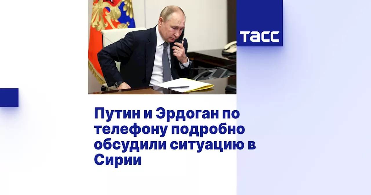 Путин и Эрдоган по телефону подробно обсудили ситуацию в Сирии