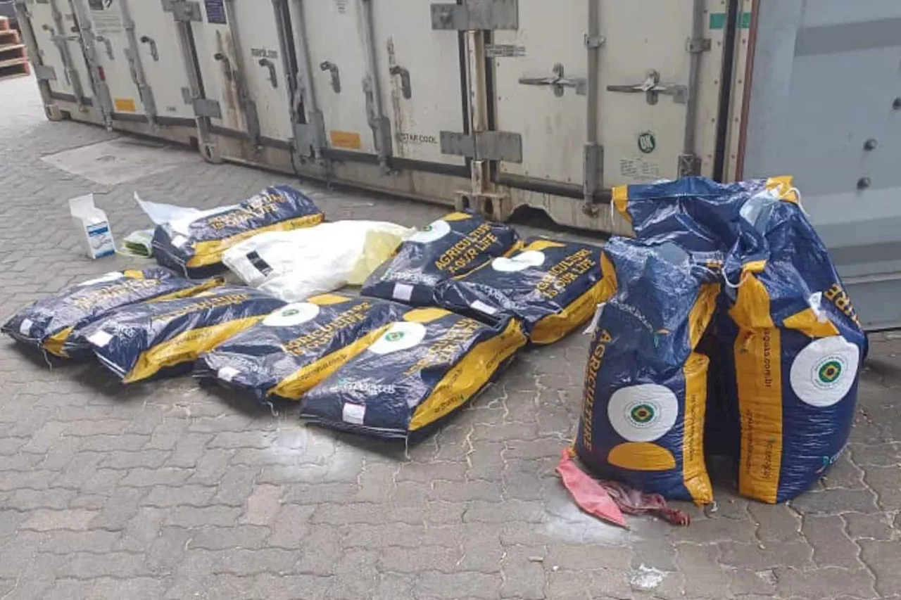 Durban cocaine bust: R86.5m worth of drugs found in bean shipment from Brazil