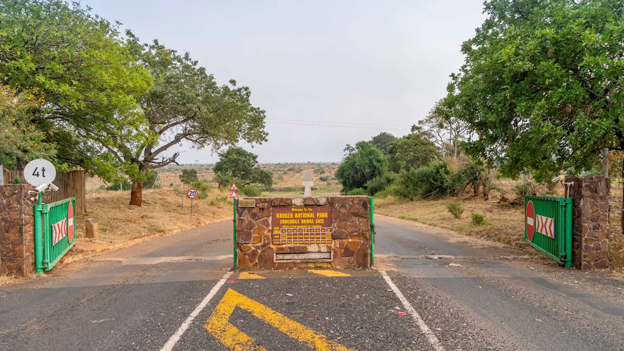 Gate quotas in place at Kruger National Park this festive season