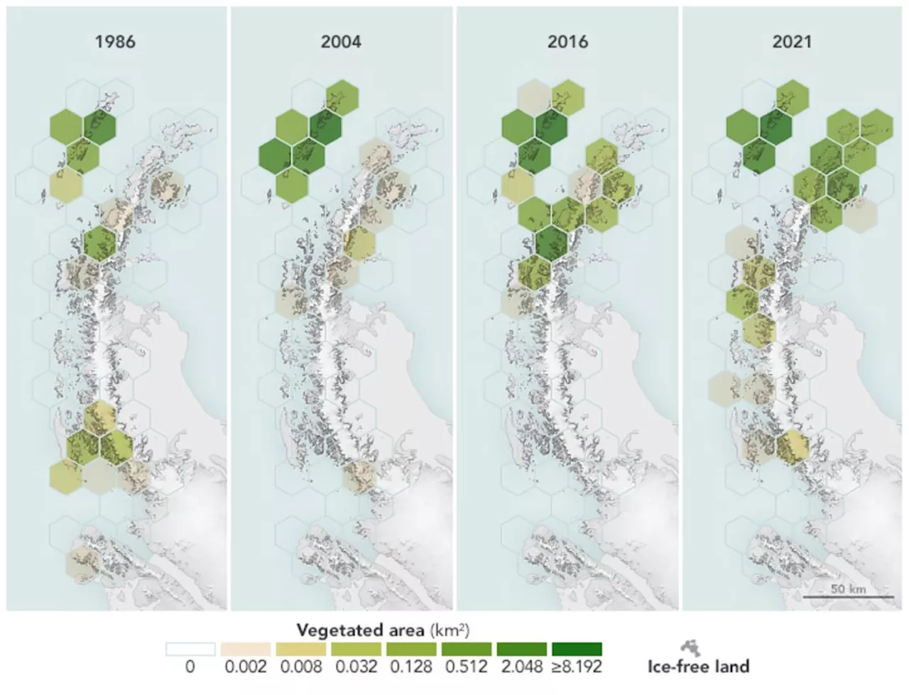 Antarctica Has Gotten 10 Times Greener in 35 Years