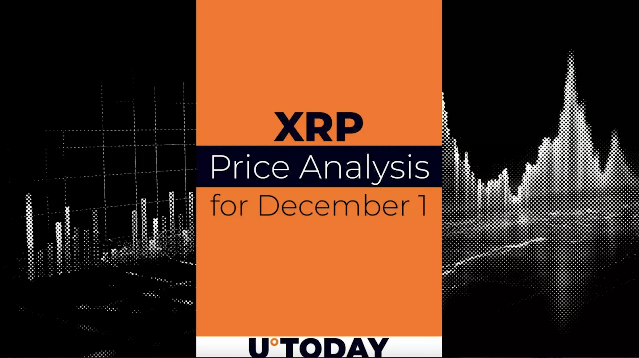 XRP Price Prediction for December 1