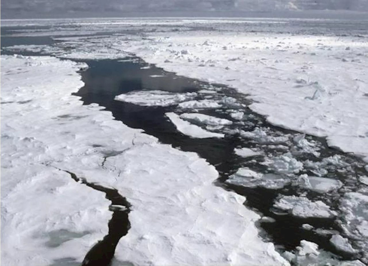 Cuenta regresiva para un Ártico sin hielo, un estudio predice que podría suceder en 2027