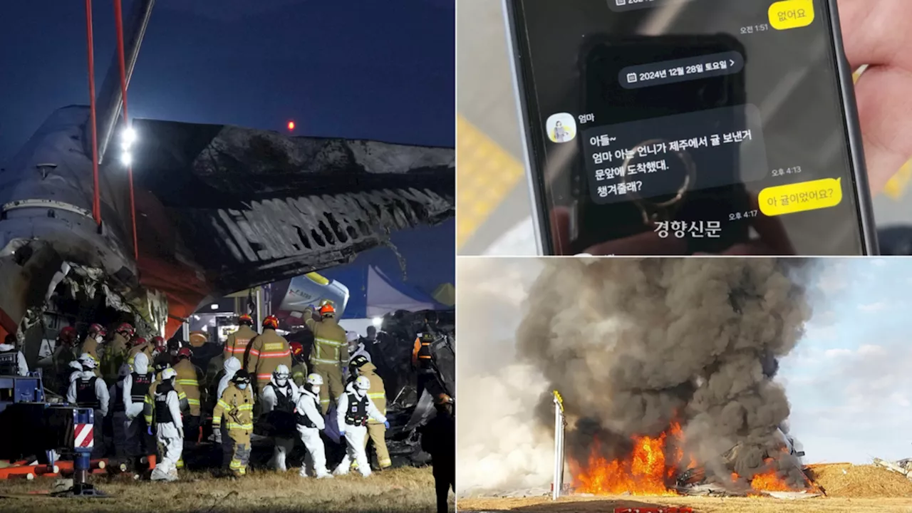 Heartbreaking Last Texts Revealed from Jeju Air Flight Disaster