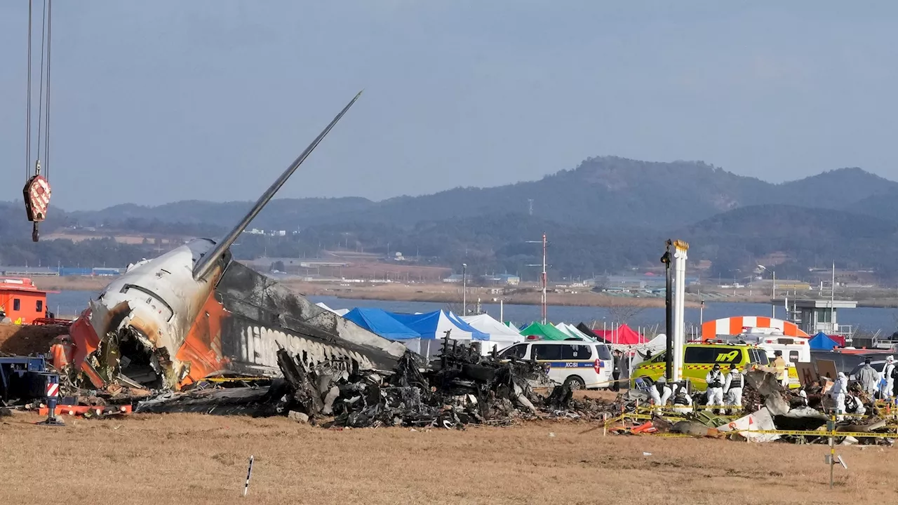 Jeju Air Boeing 737 Crash: South Korea Orders Inspection of All Boeing 737-800s