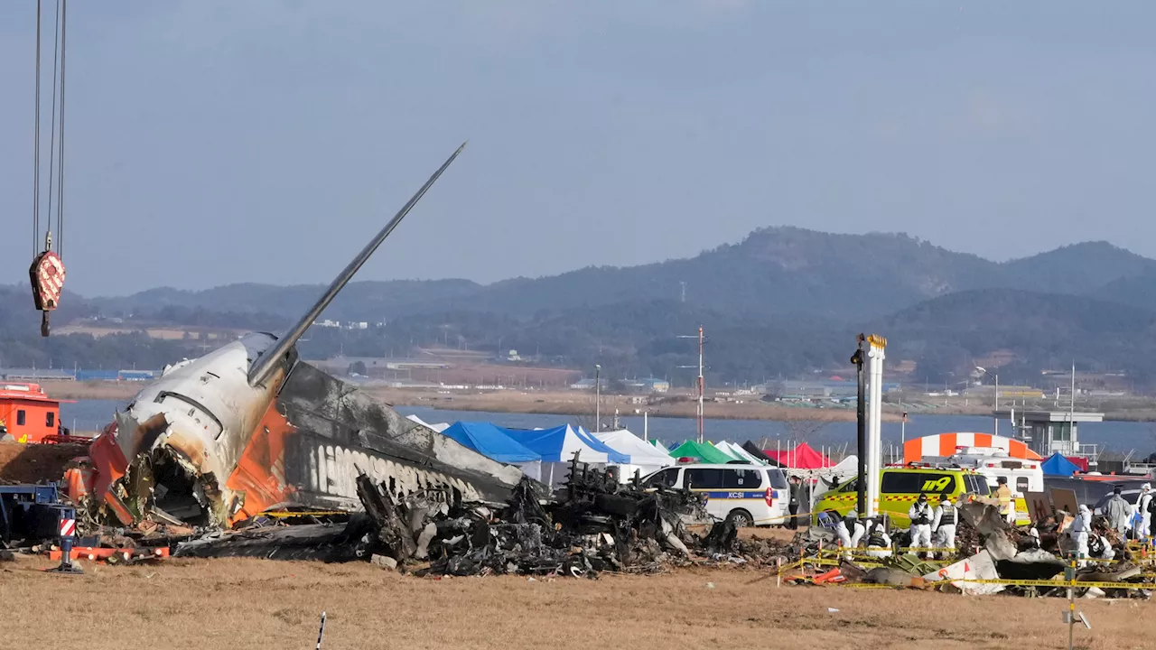 Two Survivors Recovering as South Korea Investigates Deadly Plane Crash