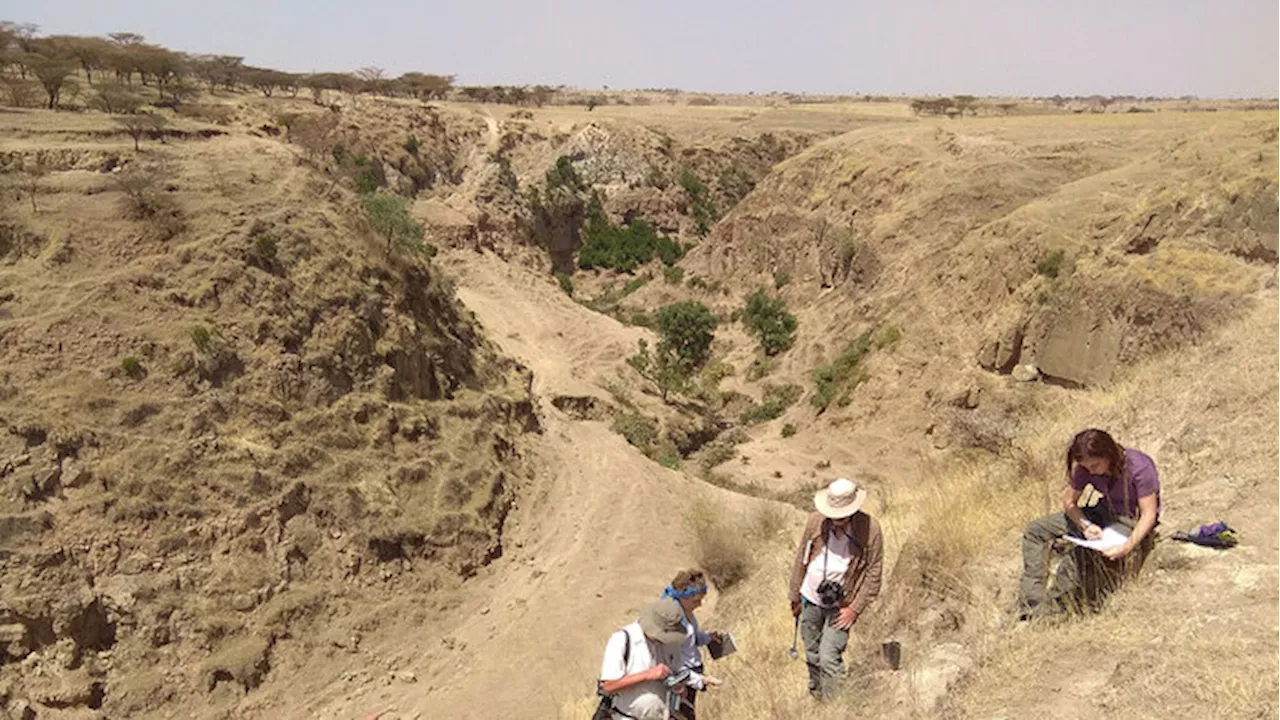 Tragedia stradale in Etiopia: 71 morti nel burrone del fiume Gelana