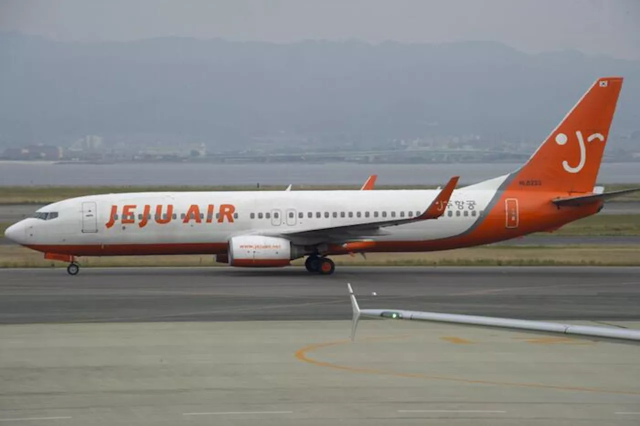 Volo Jeju Air Rientra a Gimpo per Problema al Carrello di Atterraggio