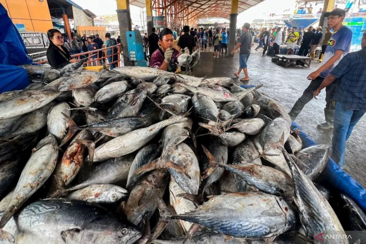 Harga Pangan Mayoritas Turun, Ikan Tongkol Rp32.050 per Kg