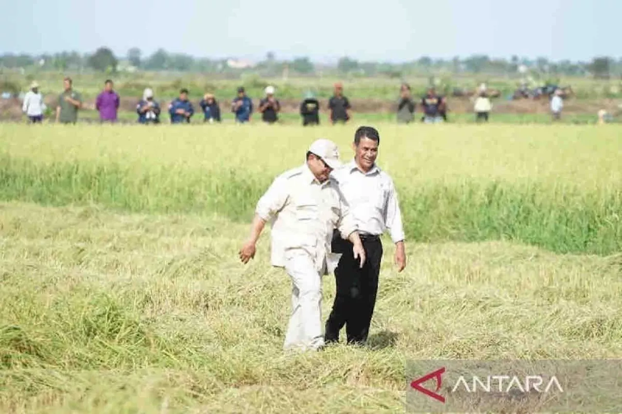 Kementerian Pertanian Tingkatkan Produksi Pangan Melalui Teknologi dan Pengembangan Daerah