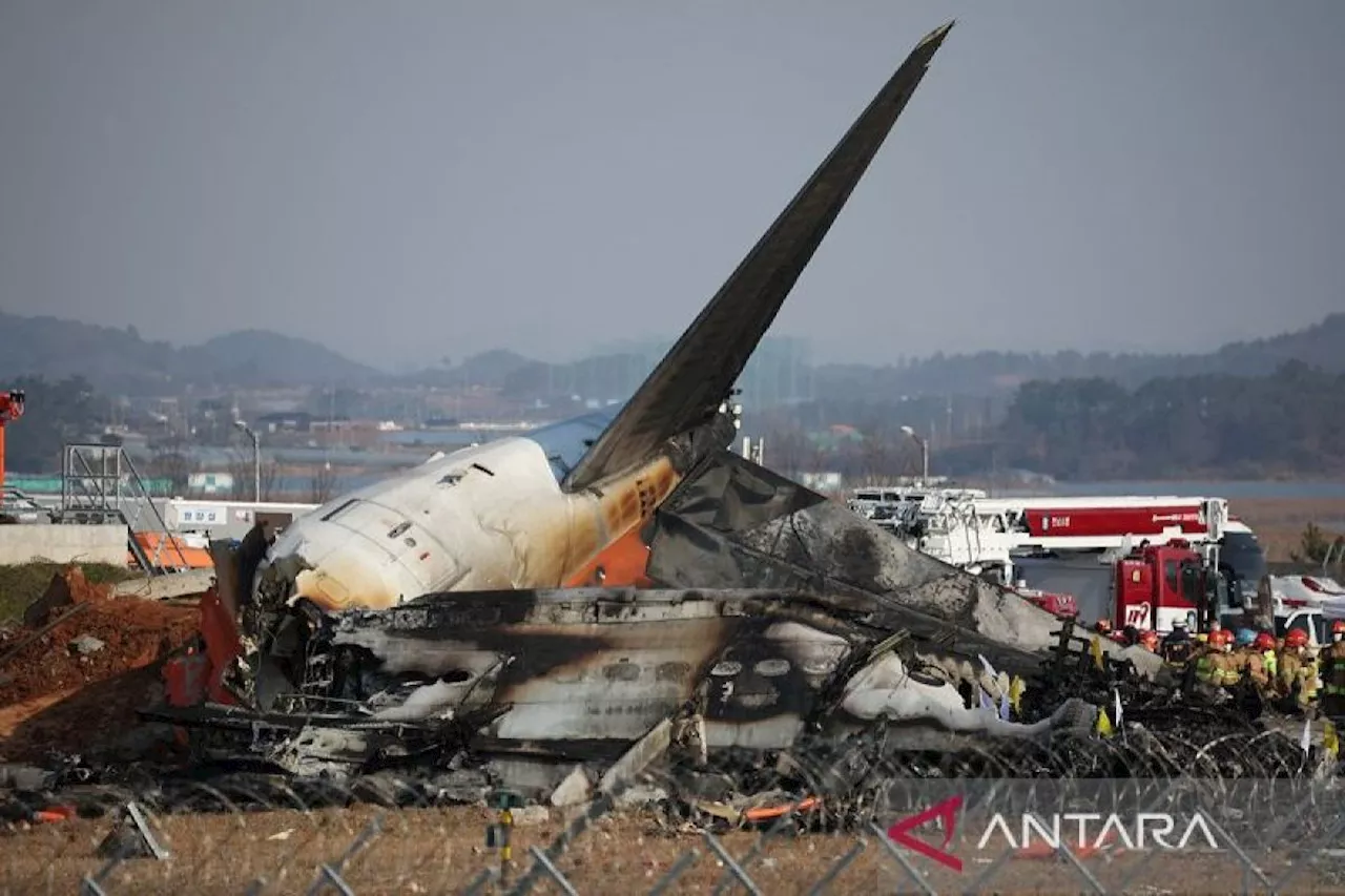 Pesawat Jeju Air Tergelincir dan Meledak di Korea Selatan, 179 Tewas