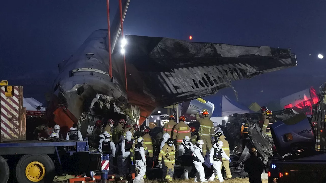 Jeju Air Plane Crashes in South Korea, Killing All Onboard