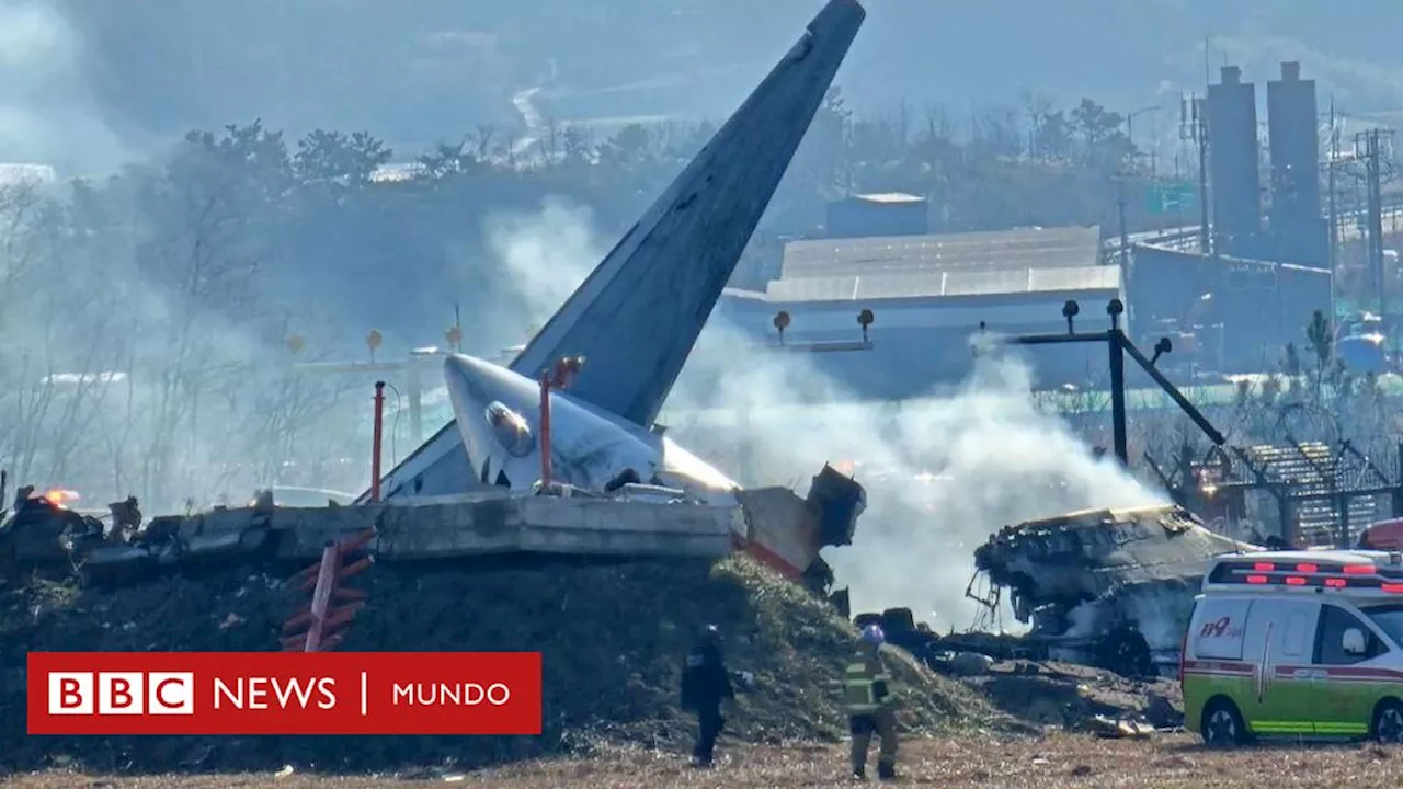 Muro en la Pista de Aterrizaje: ¿Factor Crucial en el Fatal Accidente de Corea del Sur?