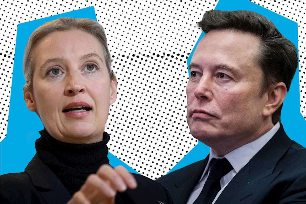 Nach Wahlempfehlung: Fordert Elon Musk jetzt AfD-Kanzlerkandidatin Alice Weidel zum Duell auf?