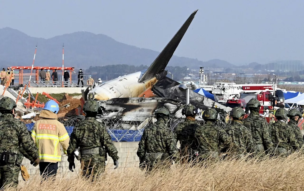 Vogelschlag Die Ursache für Fahrwerk Ausfall bei Jeju Air Flug?