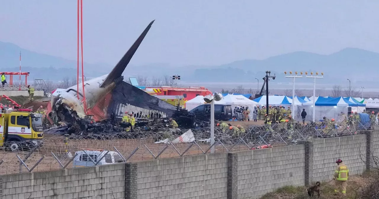 Fahrwerksprobleme bei Jeju Air: Neue Fragen nach Muan-Tragödie