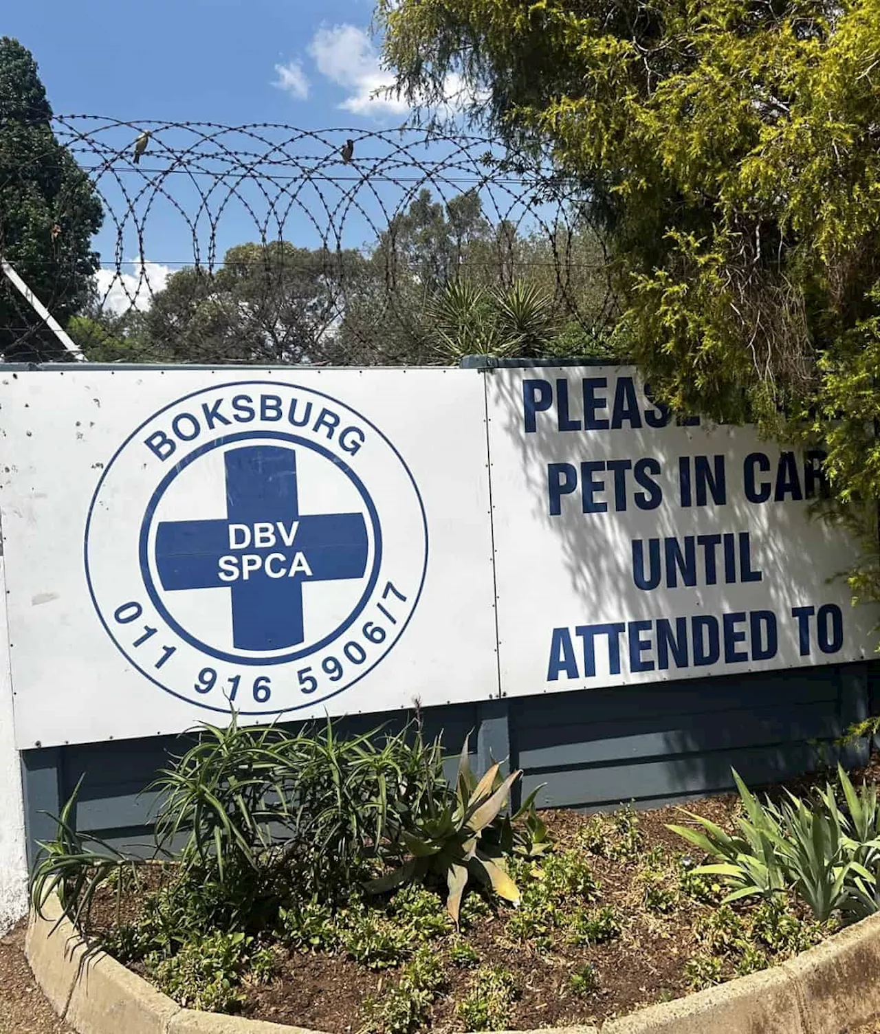 Boksburg SPCA Facebook Page Suspended Due to Impersonation