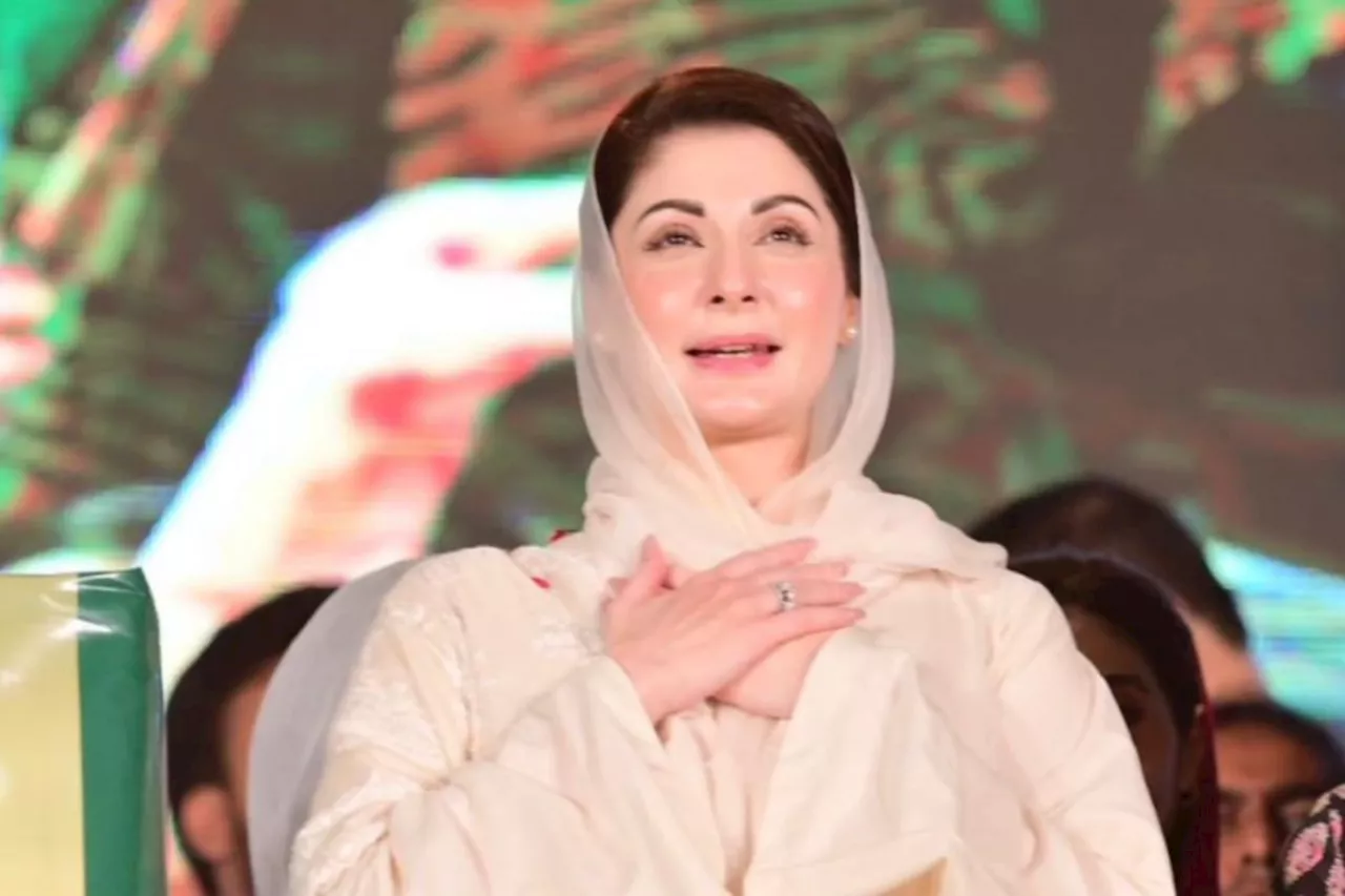 CM Punjab Maryam Nawaz Sharif invites UAE investment in province