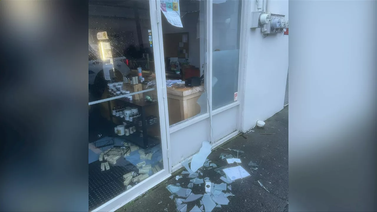 Pet Store Owner Suffers $2,000 Loss in Smash-and-Grab