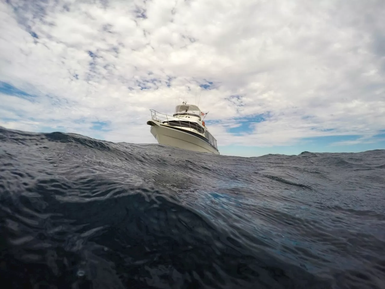 Pastor Australien Décédé Après Une Attaque de Requin