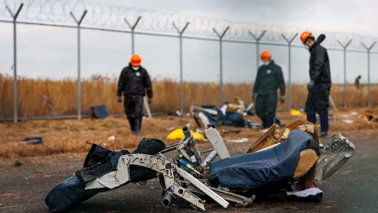 Jeju Air Crash Triggers Safety Checks of Boeing 737-800s