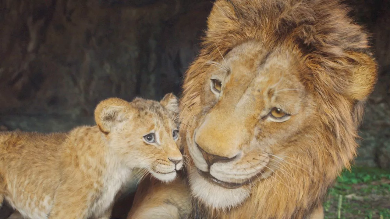 Mufasa: Il Re Leone domina il box office italiano del weekend natalizio