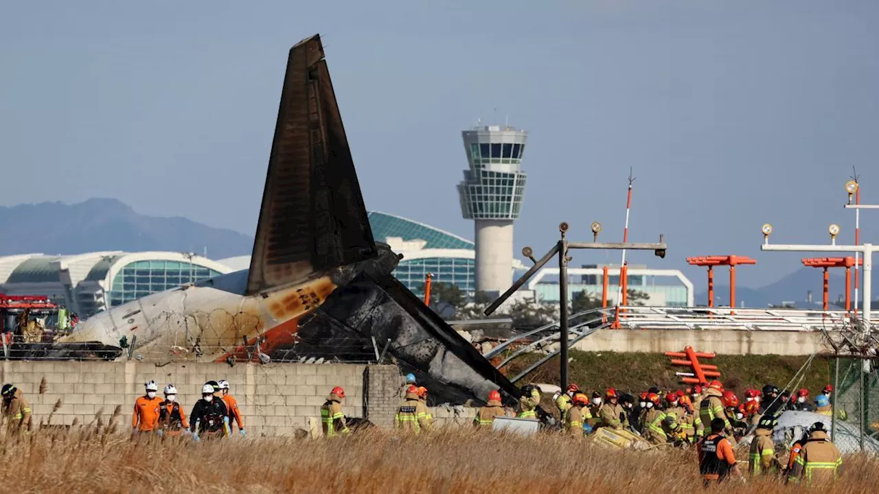 Disastro Aereo in Corea del Sud: Dubbi e Indagini