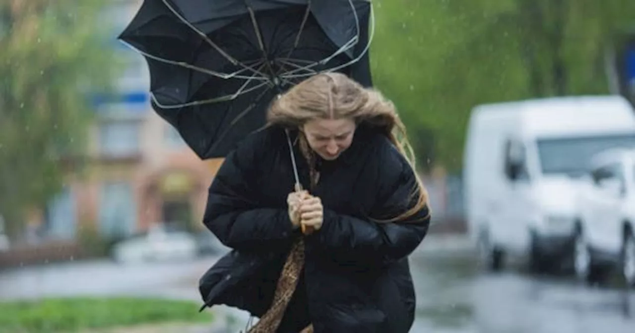 Alerta por lluvias y fuertes tormentas durante Año Nuevo en Argentina