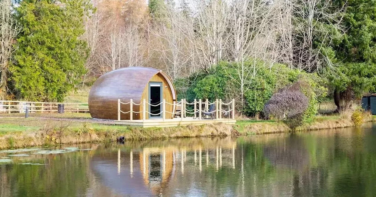 Cosy Scottish Pod Offers Last-Minute New Year's Getaway