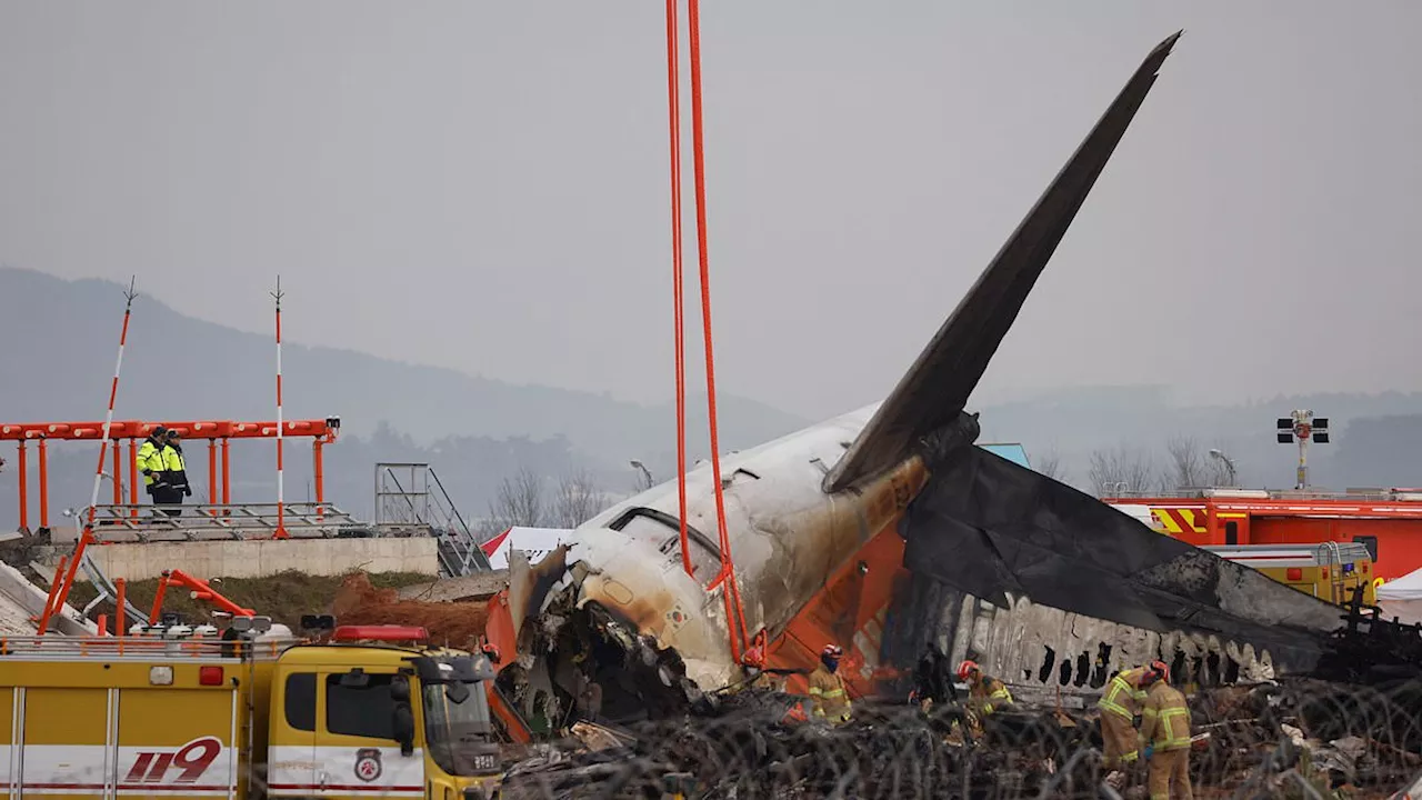 South Korean Jet Crash: Bird Strike and Pilot Error Under Scrutiny