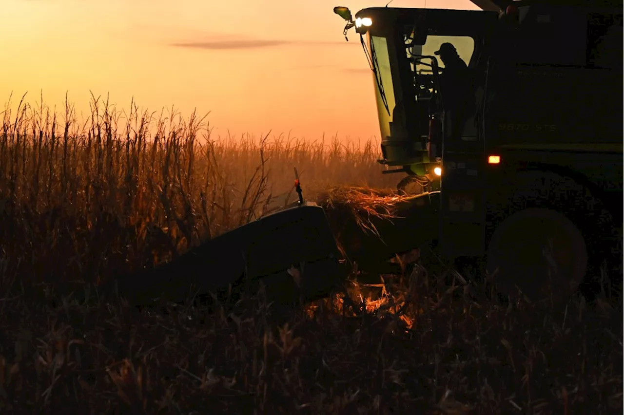 Native American Tribe Thrives in Agriculture