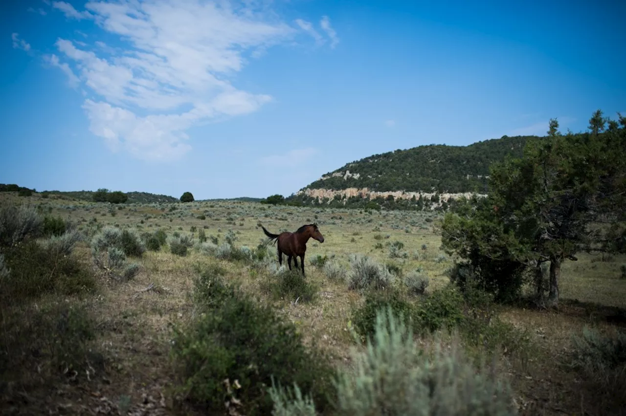 Utah Governor Sues to Transfer Millions of Acres of Public Lands