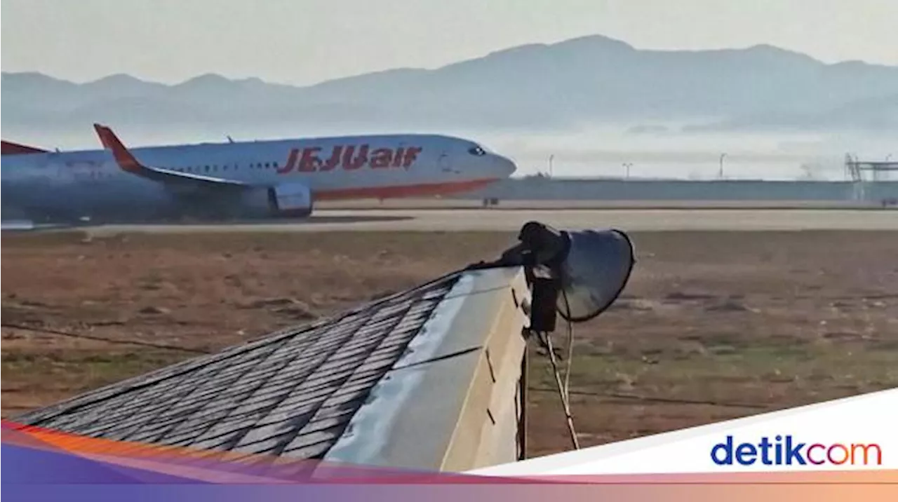 Kecelakaan Pesawat Jeju Air: Acara Penghargaan Dibatalkan