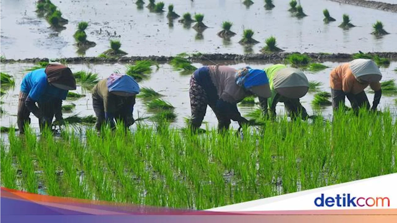 Program Jari Tangan Pertamina EP Raih Bronze Award