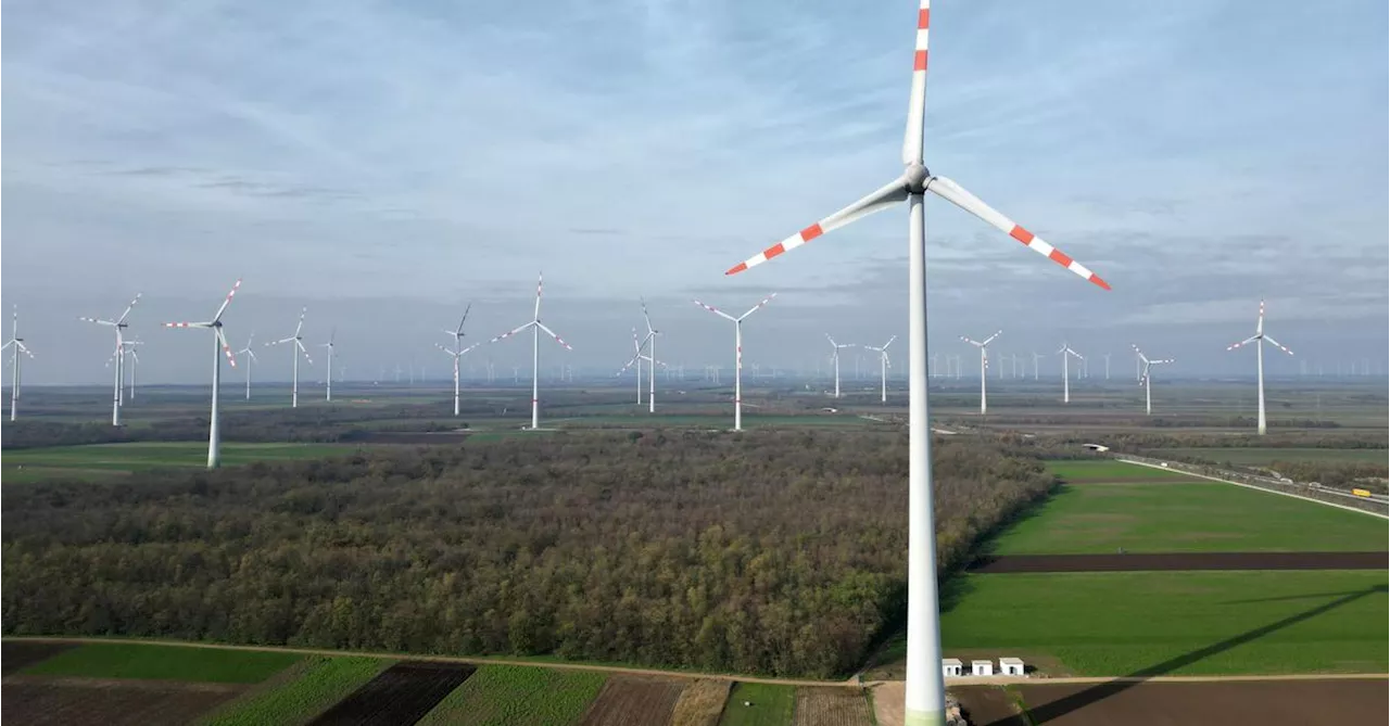 Volksbefragung in Kärnten: Windräder ja oder nein?