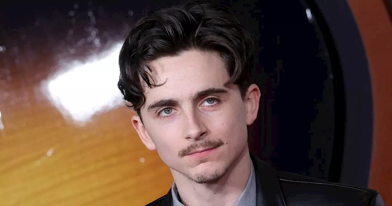 Timothée Chalamet, il possibile Oscar per Bob Dylan