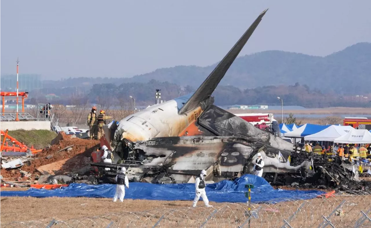 Corea del Sur inspeccionará a Jeju Air por repetidos problemas con su tren de aterrizaje; asegura que inspecciones serán rigurosas