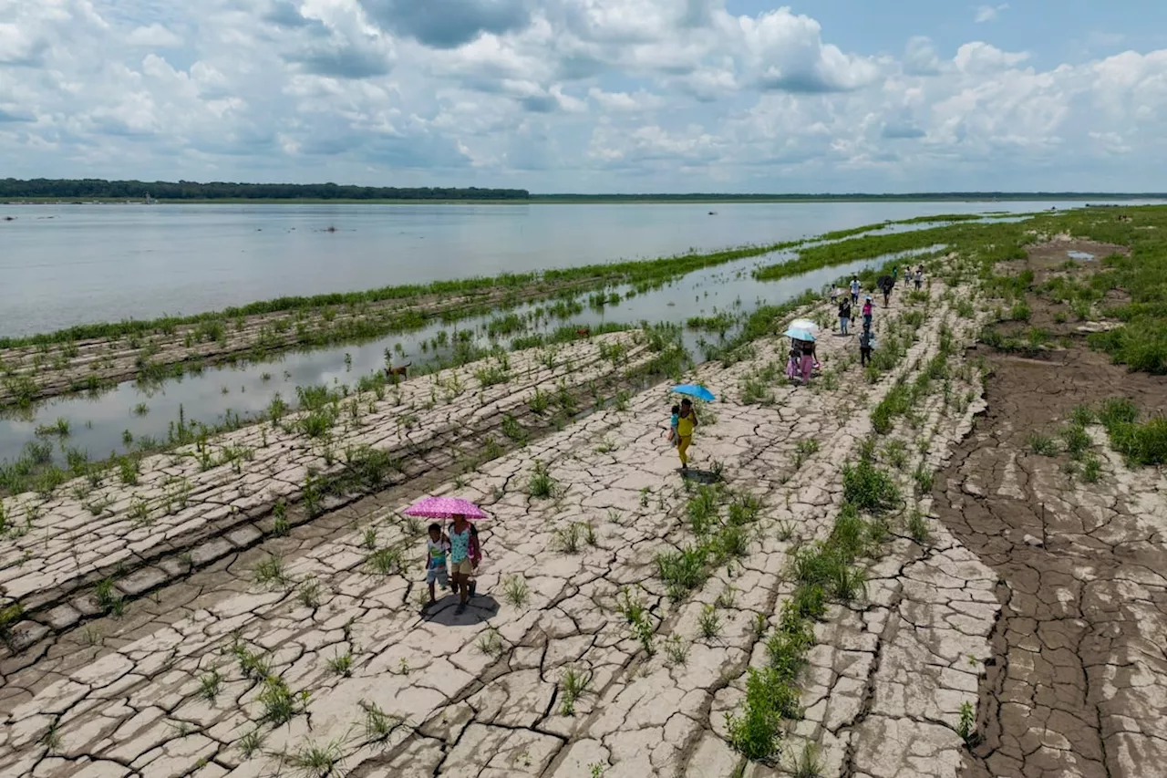 La ONU pide reducir las emisiones “de forma drástica” tras un 2024 de calor récord