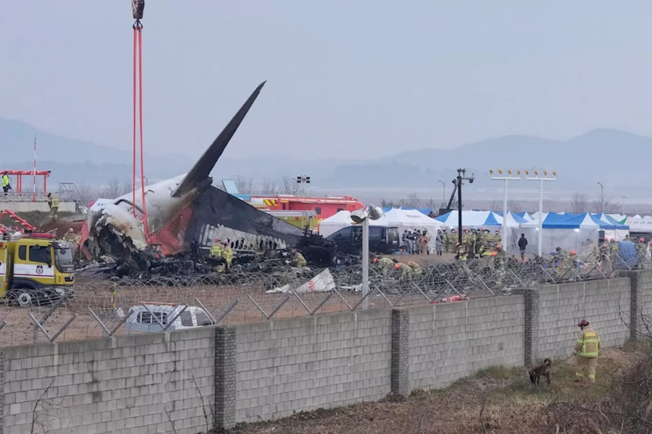 Südkoreanische Behörden untersuchen Jeju Air nach tödlichem Unfall