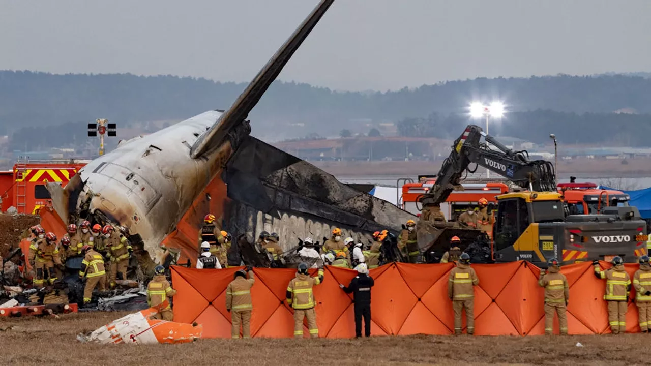 South Korean Plane Crash Spurs Safety Review