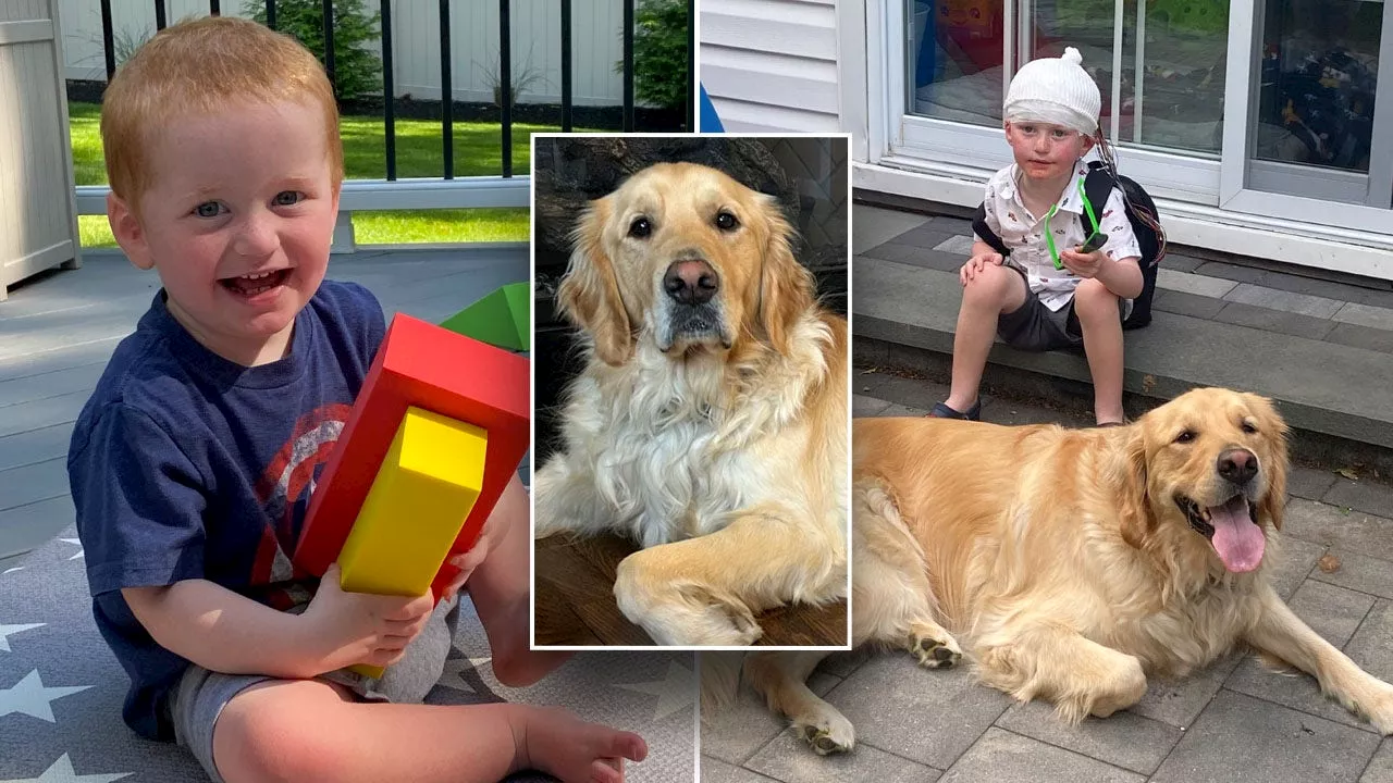 Golden Retriever Brings Comfort to Boy with Rare Genetic Disorder