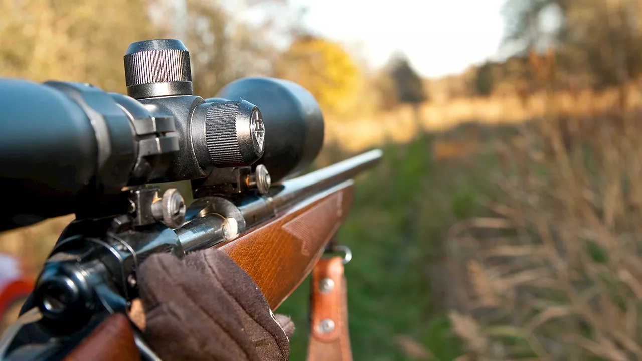 Louisiana Hunter Mistakenly Shoots Fellow Hunter, Citing Safety Concerns