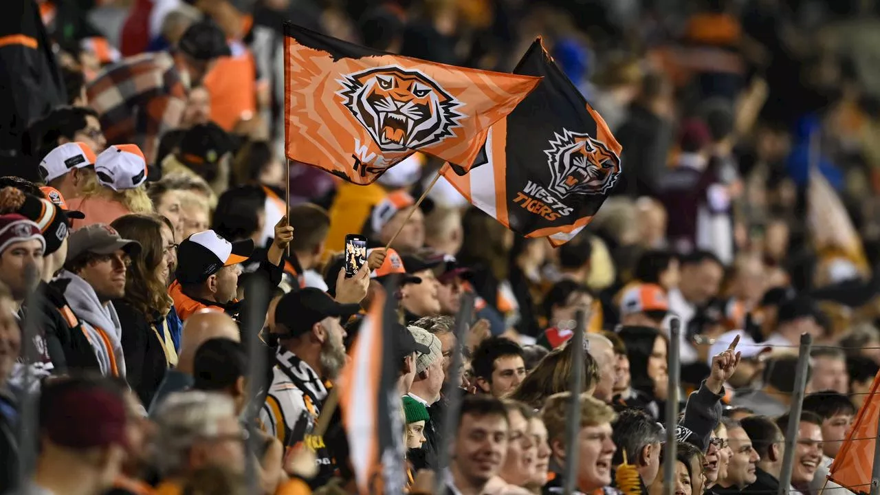 Wests Tigers Fans Demand Independent Review Amidst Split Rumors