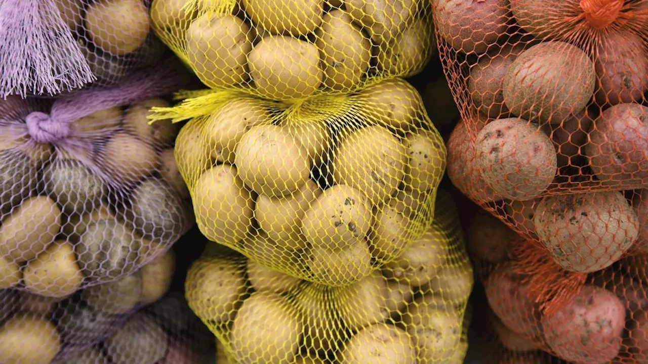 Le Patate Viola e Rosse: Un'Elevate Fonte di Nutrienti