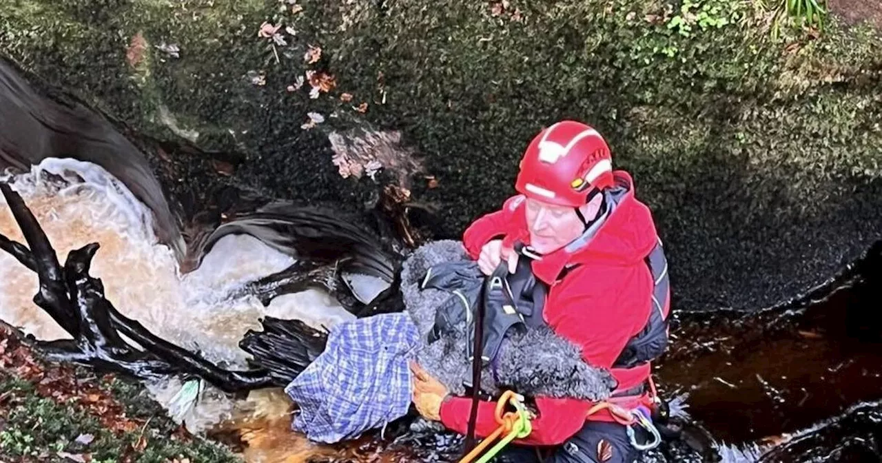 Dog Rescued After 30-Meter Fall Into Scottish Gorge