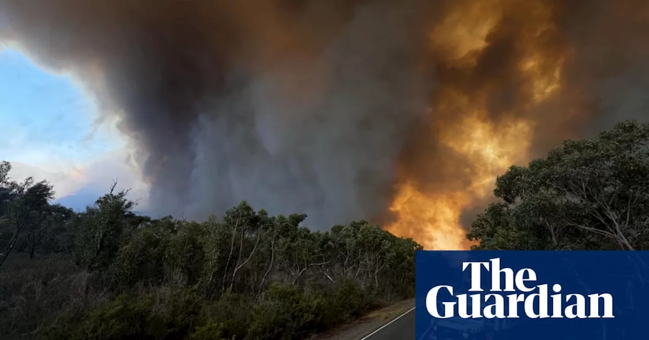 Australian Bushfires Detected as Far Away as Antarctica