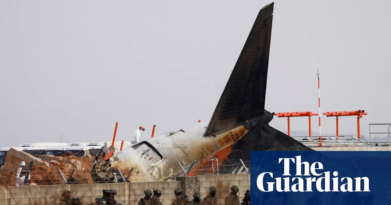 Bird strike unlikely sole cause of fatal South Korean plane crash, experts say