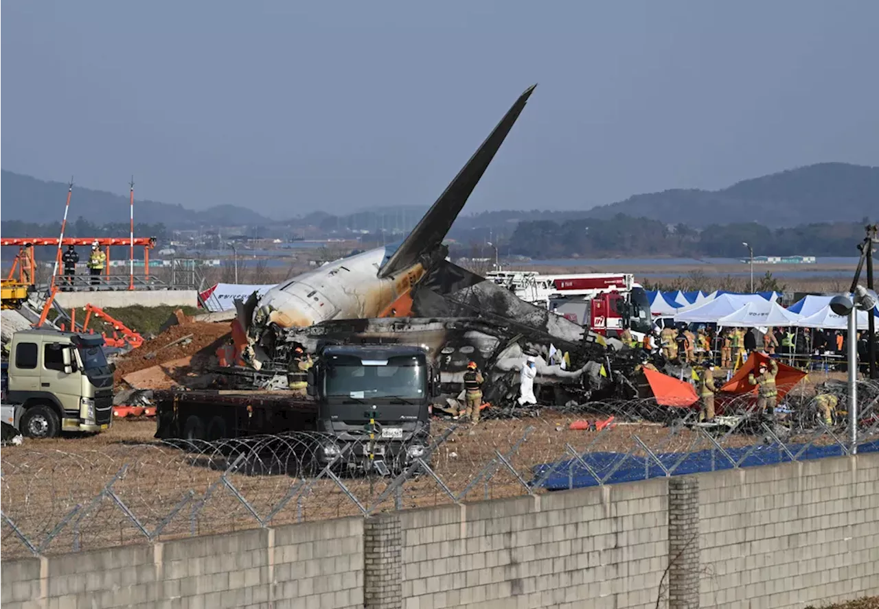  Kecelakaan Pesawat Jeju Air di Bandara Muan Korea Selatan